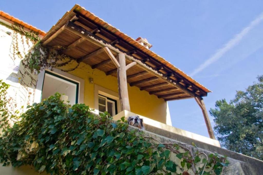 Casa Da Ruiva Villa Serra Kültér fotó