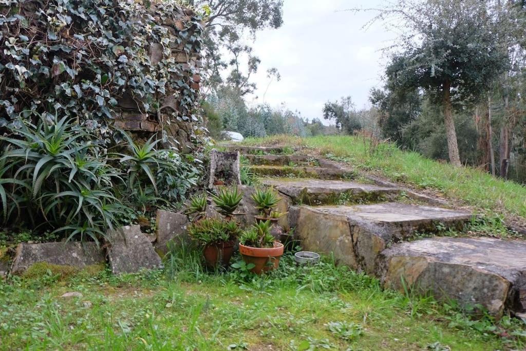Casa Da Ruiva Villa Serra Kültér fotó